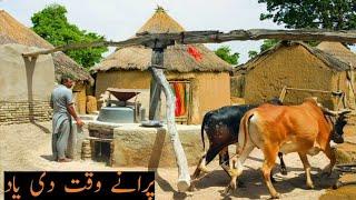 Bull Powered Flour Mill | Flour Machine Operated With Oxen | Old Grinding Technology