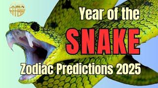 Year of the Snake / Zodiac Predictions 2025