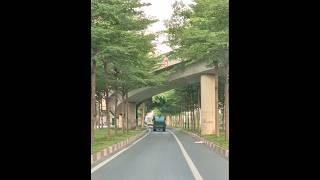 A hidden green road in Hanoi, Vietnam  #hanoi #roadtrip