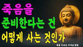 죽음을 준비하는 삶은 어떻게 다른가요?  | 자면서 듣는 부처님 말씀 #부처님말씀 #부처님의가르침 #석가모니인생조언 #불교가르침