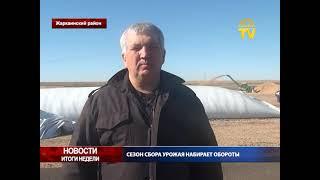 Сезон сбора урожая набирает обороты в Жаркаинском районе (18.09.2024)