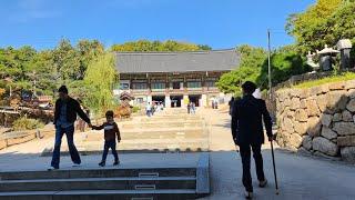 서울의 도심속 천년고찰 봉은사 |