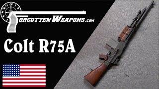 Colt R75A: The Last Commercial BAR (With Shooting)