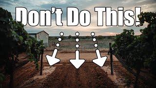 What I Wish I Knew Before I Started My Vineyard