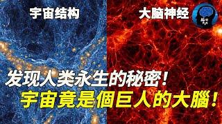 宇宙是巨人的大腦！ 100億光年外！宇宙結構與大腦神經網絡高度相似！難道我們生活在一個巨人身體裡？