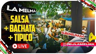 SALSA + BACHATA + TIPICO    #djlamelma #salsa #bachata #tipico