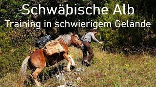 Packsattel Packpferd Training. Vorbereitung für schwieriges Gelände. Packsaddle packhorse training