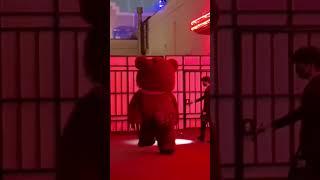 ぴょんぴょんしながら、ご機嫌でお帰りになられるハミクマ様。
