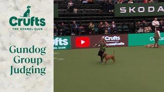 Gundog Group Judging | Crufts 2024