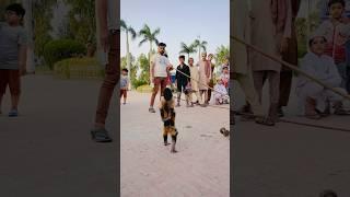 Funny monkey #funny #funnymonkey #shorts