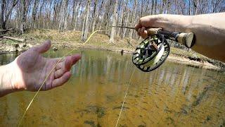 Pike on the Fly - Fishing CLEAR Shallow rivers