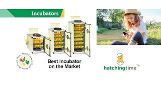 Hatching Time Egg Incubators (60 - 180 Eggs)