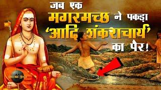 Shankaracharya History in Hindi | Adi shankar | Amazing facts about Shankaracharya | Historic Hindi