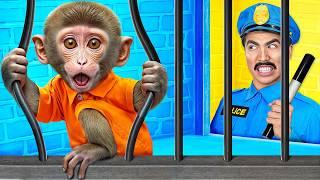 Monkey Escape from Pets Prison by Multi DO Smile