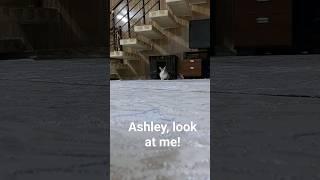 Ashley, look at me!