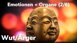 Emotionen + Organe (2/6): Wut / Ärger