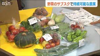 “野菜のサブスク”で「世界一おいしいごはんを食べられる新潟をつくる」 農家と消費者がともに“未来の農業”を目指して