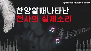 찬양할 때 나타난 천사/Mi Amor/Angels Singing With Elias Argüello