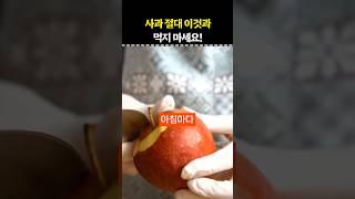 사과 절대 이것과 먹지 마세요! #건강 #건강정보