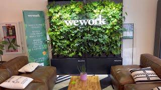 wework 강남점 올액세스 멤버십 이용자에게 비추하는 공유오피스 | wework gangnam