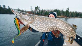 How To CATCH, CLEAN, and COOK Northern Pike. (Ice Out Ontario Pike)