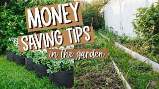 10 WAYS TO SAVE MONEY IN THE GARDEN / Budget gardening tips for beginners / Garden 2022