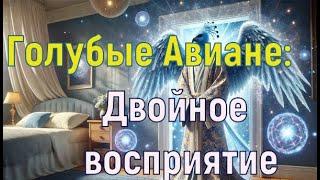 Голубые  Авиане: Двойное восприятие