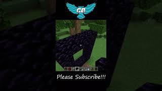 Smallest Possible Toggleable Nether Portal Tutorial in Minecraft Java #Shorts