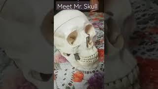 Funny Mr. Skull #short #animationworld