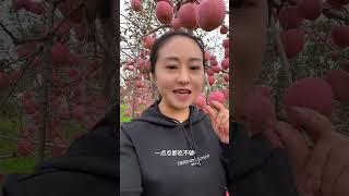 老挝媳妇嫁到中国真的是饱口福了