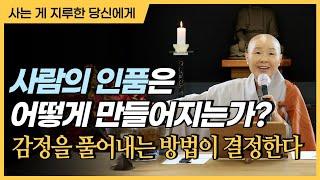 불평하고 싶은 마음이 생기면 이 법문을 보세요ㅣ감정을 풀어내는 방식이 세상을 바꿉니다ㅣ사람으로 태어나서 밥값하며 사는 법ㅣ서울 정각사 10월 일요법회 법문