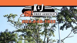 Tree Pruning, K&J Tree Service