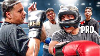 3 Tik Toker's Vs 1 Professional Boxer