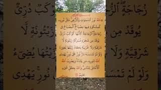 سورة النور