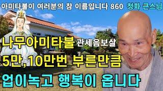 나무아미타불 관세음보살 5만번 10만번 부르면 부른만큼 업이 녹고 행복이 옵니다 |청화스님 법문