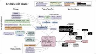 Endometrial cancer (mechanism of disease)
