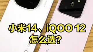 iQOO 12、小米14怎么选？手机测评小米小米14iQOOiqoo12 手机vivo手机推荐