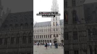 Brussels Grand Place: The square of europe #shorts #shortsvideo #travel #youtubeshorts #europe