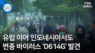 유럽 이어 인도네시아서도 변종 바이러스 'D614G' 발견...전염력 강하지만 치명률 낮아 / YTN 사이언스