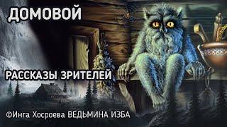 ДОМОВОЙ. РАССКАЗЫ ЗРИТЕЛЕЙ. ВЕДЬМИНА ИЗБА - ИНГА ХОСРОЕВА