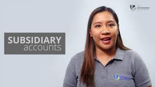 Offshore Accountant