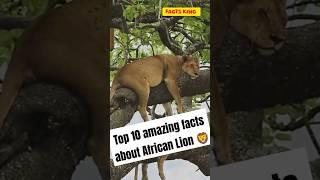 Top 10 amazing facts about African Lion  #shorts #facts #animals #trending #wildlife