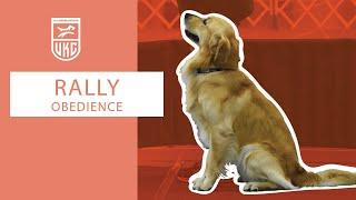 Learn Rally Master Exercises l UKC Rally Obedience