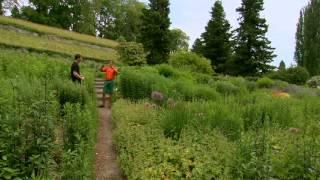 Natur im Garten: Ein Paradies im Bodensee