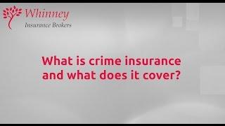 Crime Insurance Explained