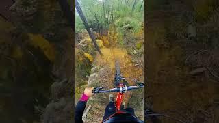 Sick MTB Line 