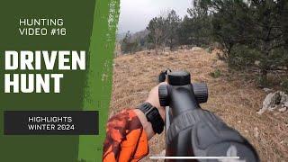 Driven hunt highlights - winter 2024 (Drückjagd, Chasse en battue)