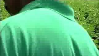 LOUISIANA FARM BUREAU: BLACK FARMERS TOUR