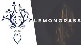 Lemongrass - Pacific (ft. Jane Maximova)