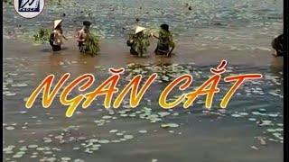Phim truyện NGĂN CẮT